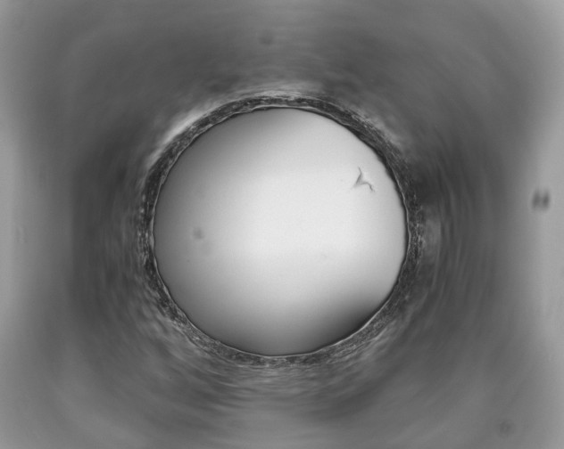 X0000090701256200707200920