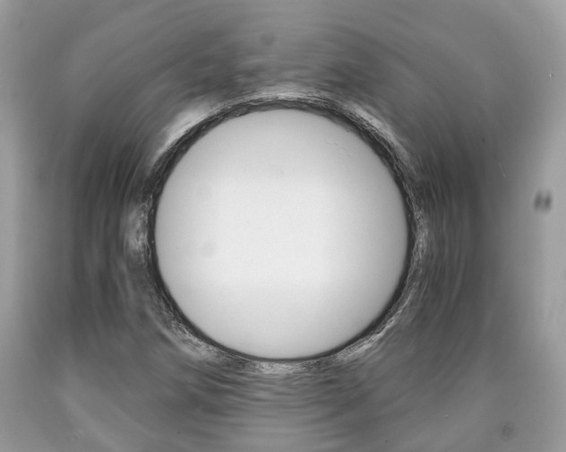X0000090701258200707200920