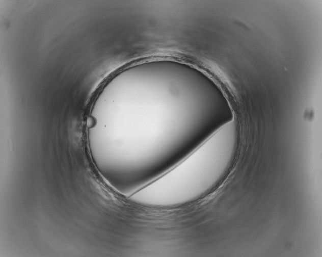 X0000090701260200707200920