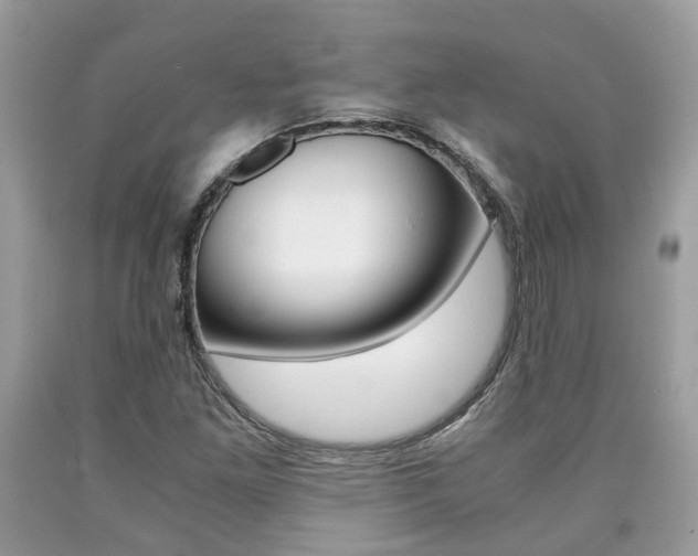 X0000090701261200707200920