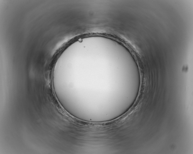 X0000090701262200707200920