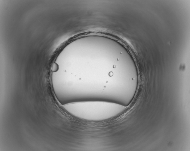X0000090701263200707200920