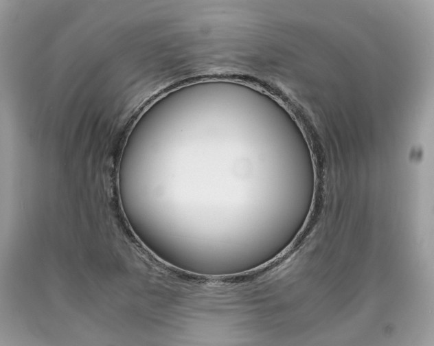 X0000090701265200707200920
