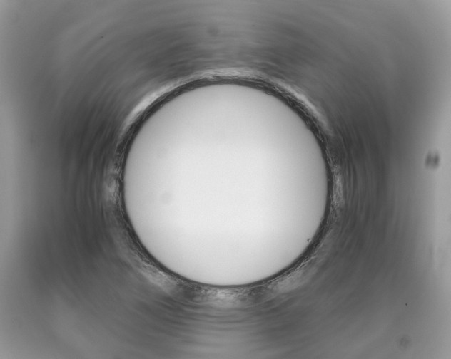 X0000090701266200707200920