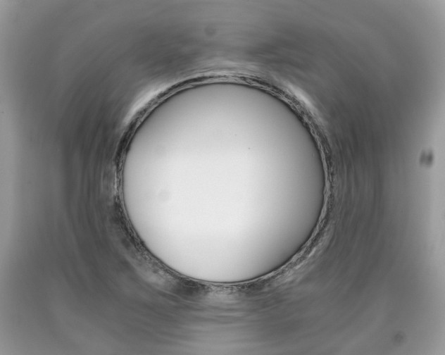 X0000090701267200707200920