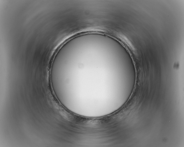 X0000090701268200707200920