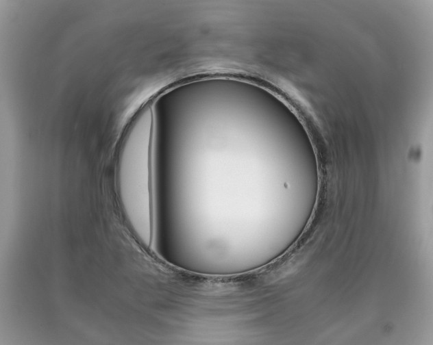 X0000090701269200707200920