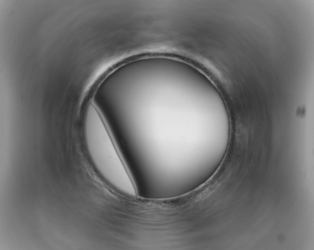 X0000090701270200707200920