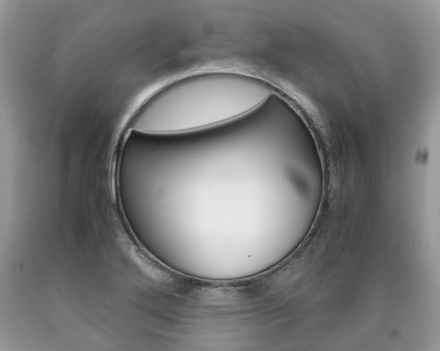 X0000090701272200707200920