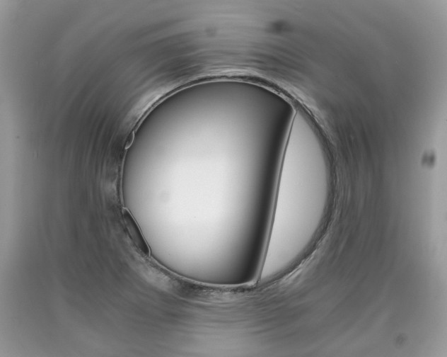X0000090701273200707200920