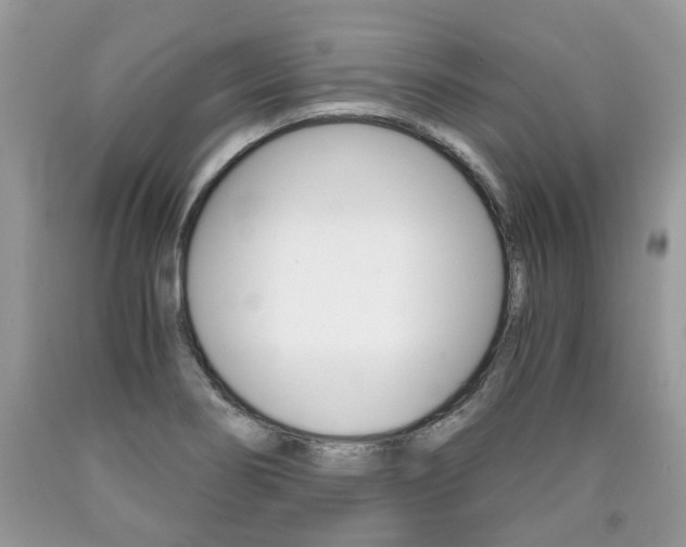 X0000090701274200707200920