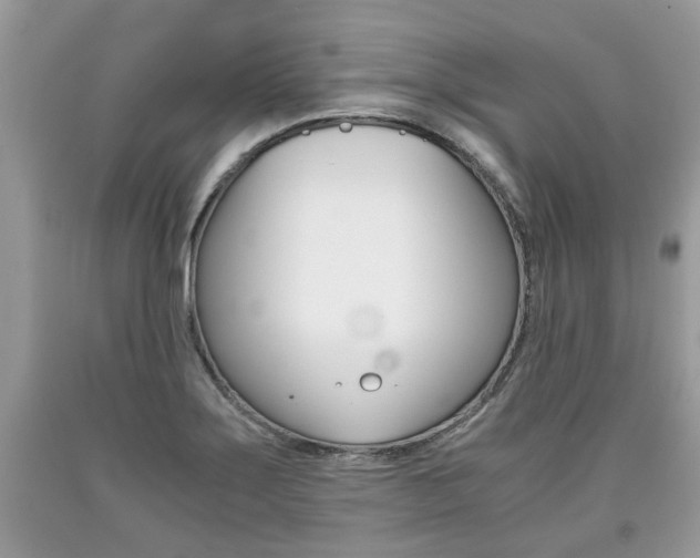 X0000090701275200707200920