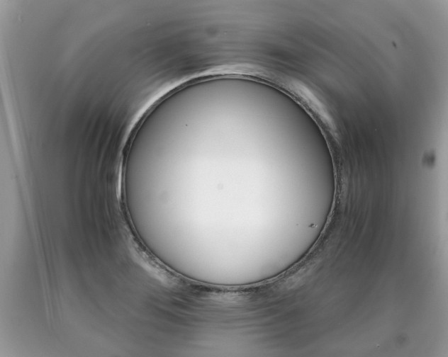 X0000090701276200707200920