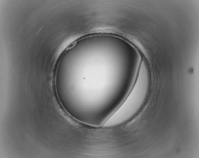 X0000090701277200707200920