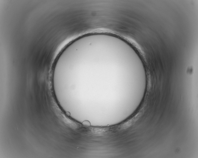 X0000090701278200707200920