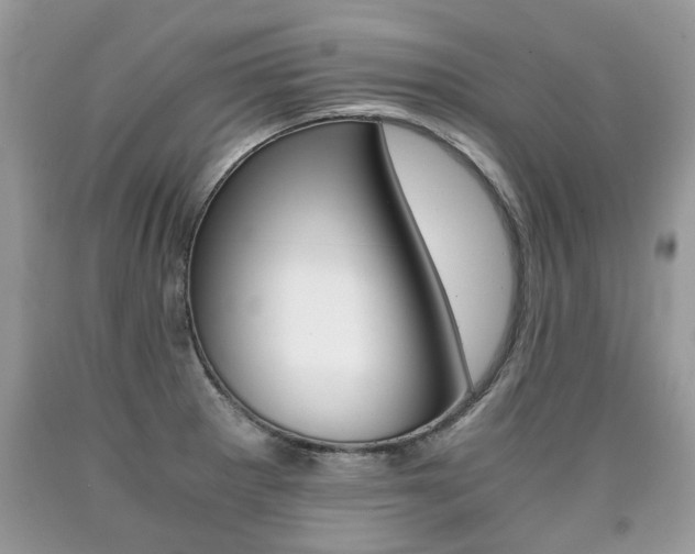 X0000090701281200707200920