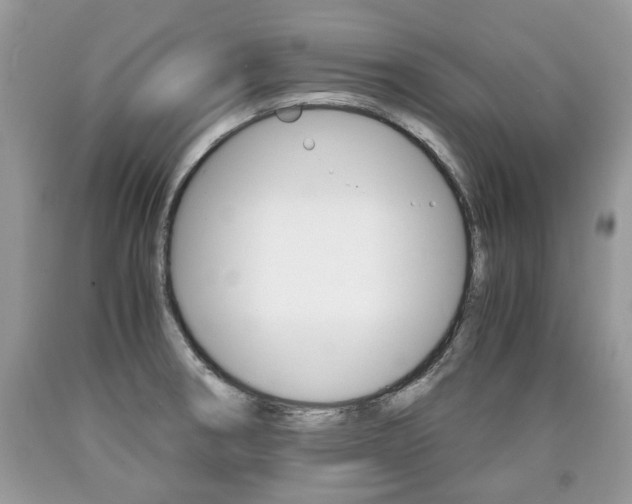 X0000090701282200707200920