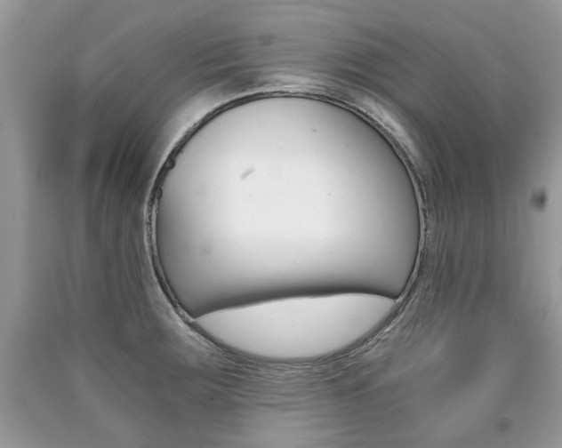 X0000090701283200707200920