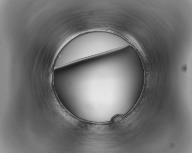 X0000090701284200707200920