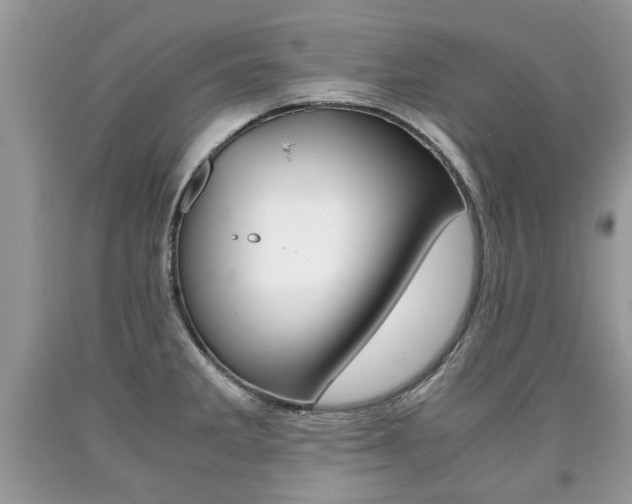 X0000090701285200707200920