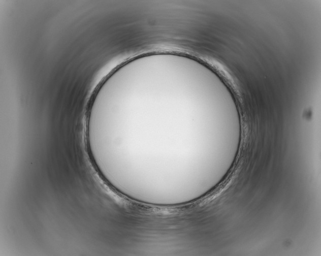 X0000090701286200707200920