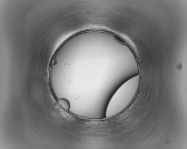 X0000090701287200707200920