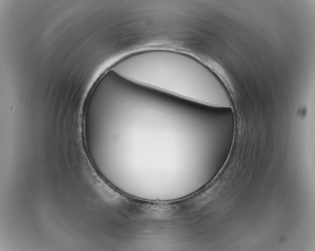 X0000090701288200707200920