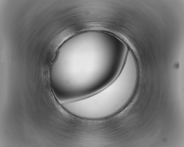 X0000090701289200707200920