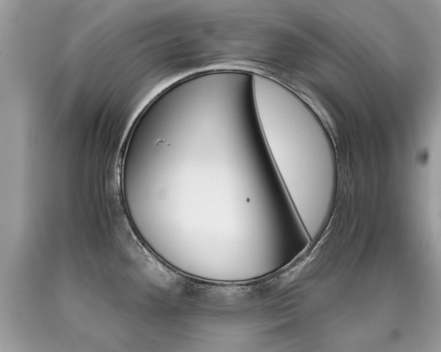 X0000090701292200707200920