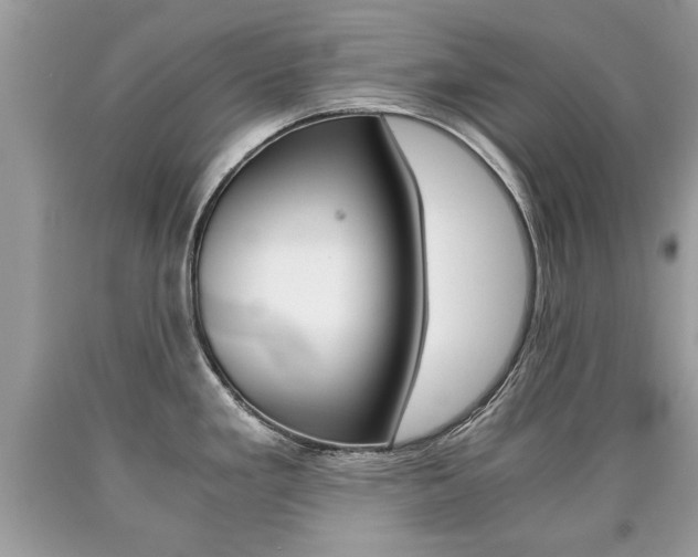 X0000090701293200707200920