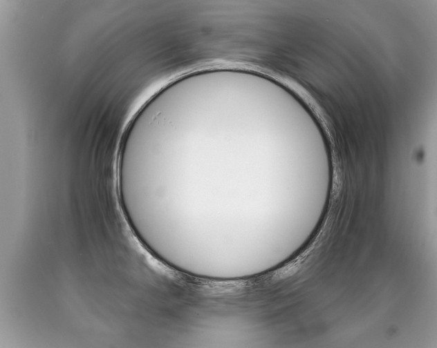 X0000090701294200707200920