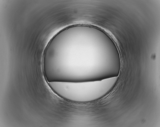 X0000090701295200707200920