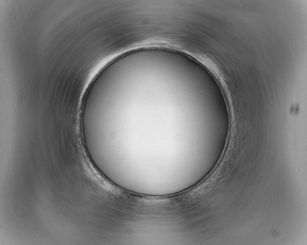 X0000090701296200707200920