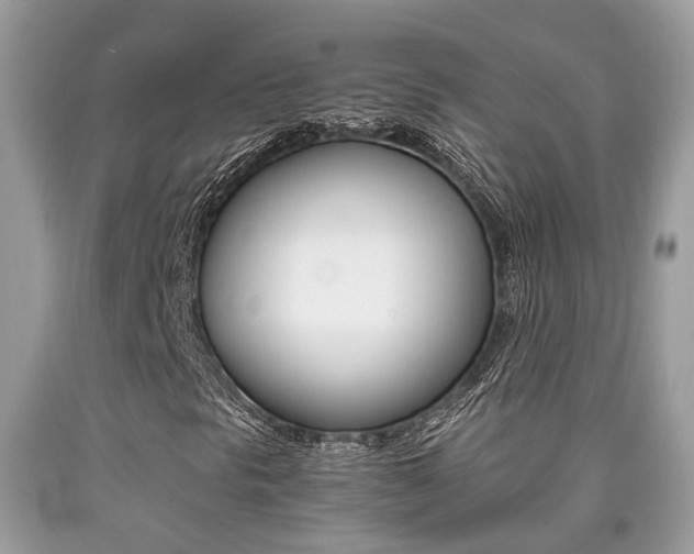 X0000090701297200707200919