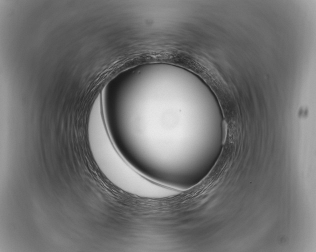 X0000090701298200707200919