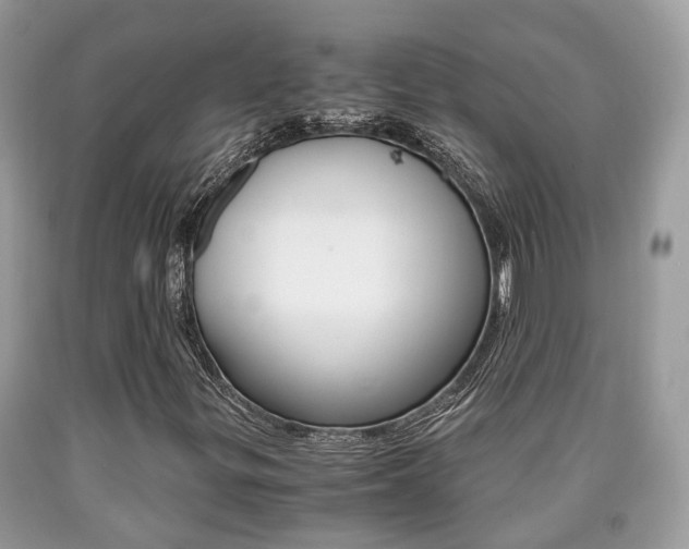 X0000090701299200707200919