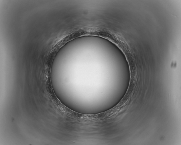 X0000090701301200707200919