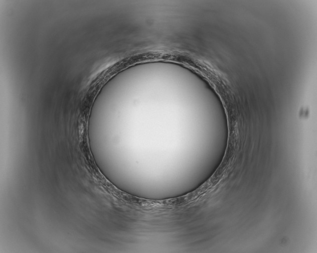 X0000090701302200707200919