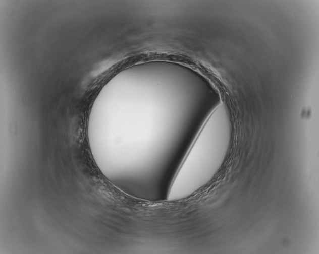 X0000090701303200707200919