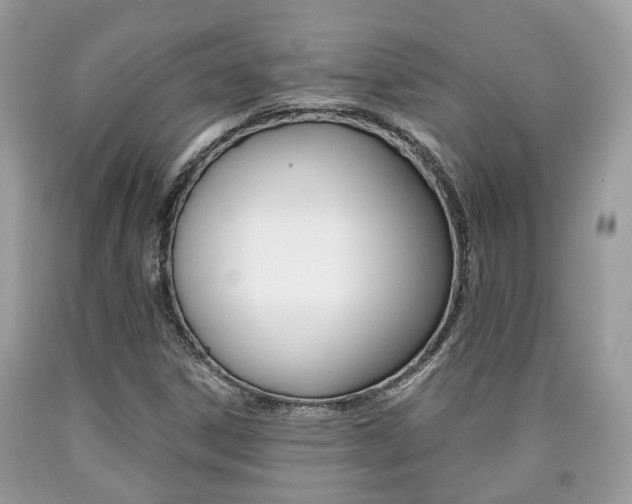 X0000090701306200707200919