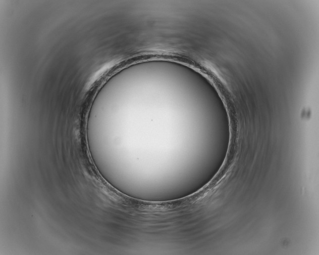 X0000090701307200707200919