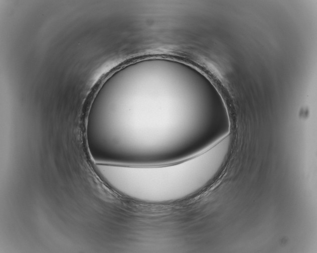 X0000090701308200707200919