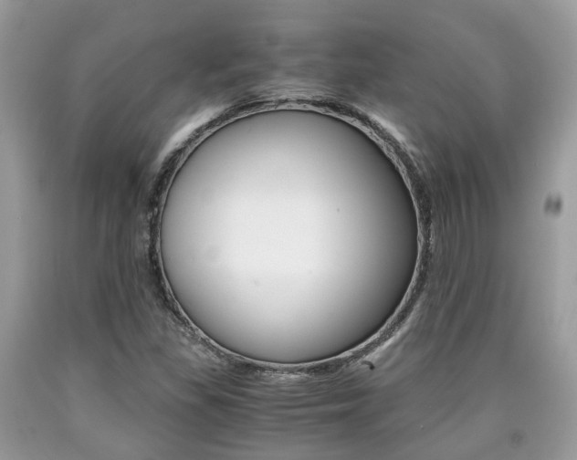 X0000090701309200707200919
