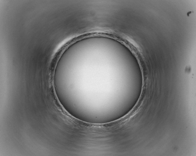X0000090701310200707200919