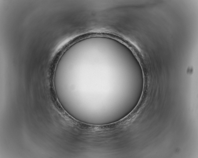 X0000090701311200707200919