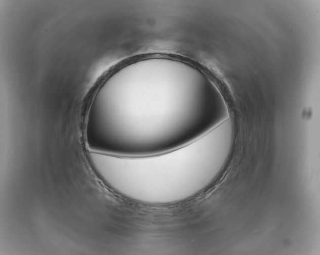 X0000090701312200707200919