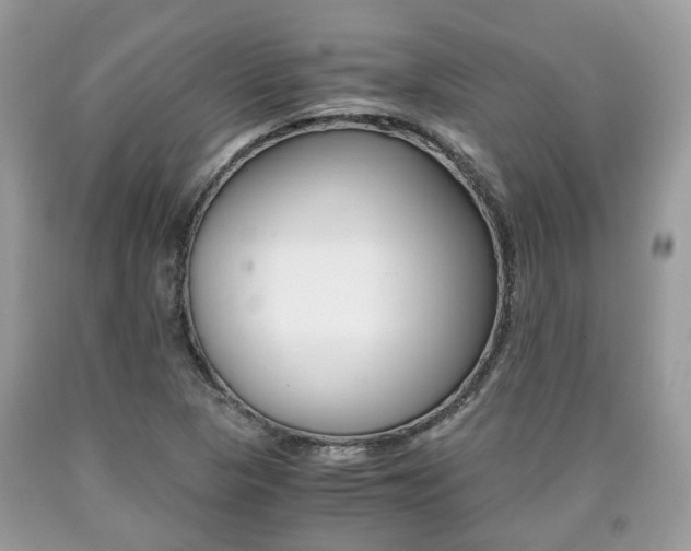 X0000090701313200707200919