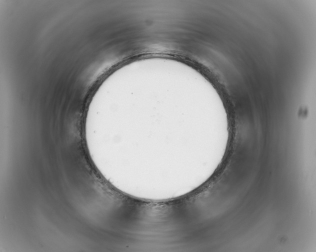 X0000090701314200707200919