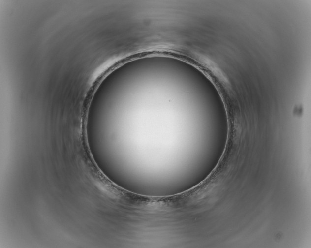 X0000090701316200707200919