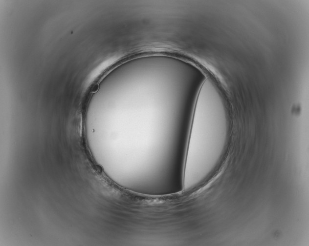 X0000090701317200707200919